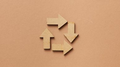 Les franchises écoresponsables : une tendance forte